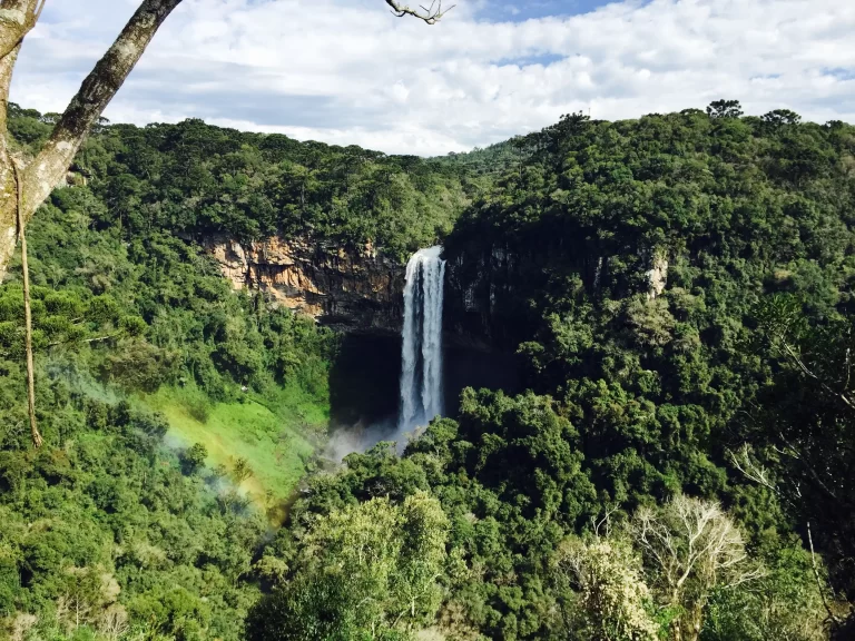 Explorando Novos Horizontes: Roteiros para Voluntários Aventureiros no Brasil